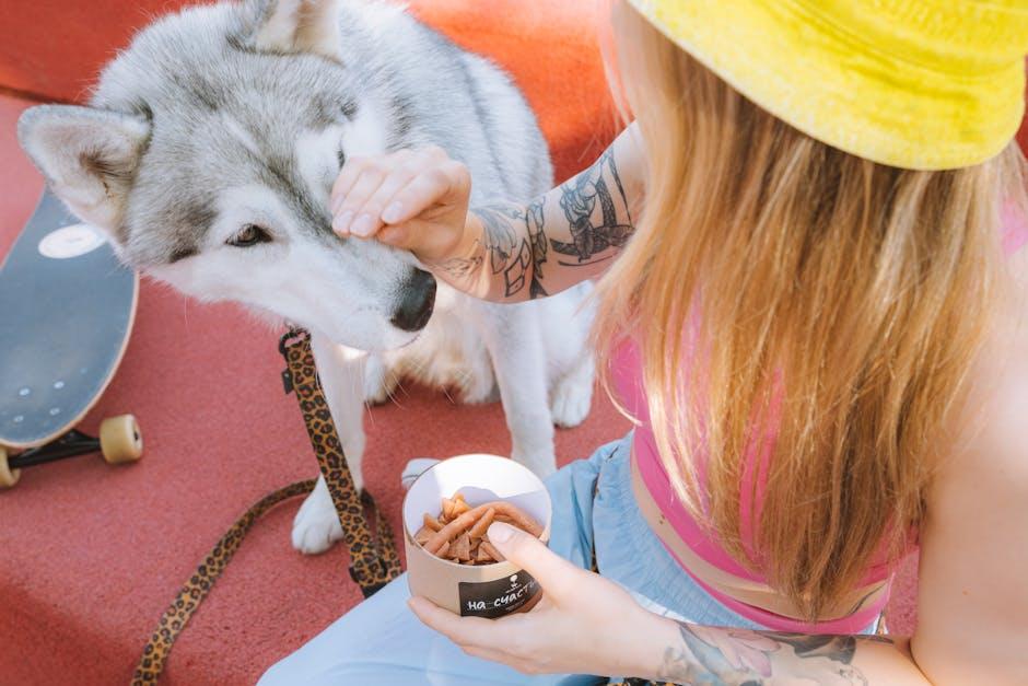 Incorporating ‍Dental-Friendly Treats and⁤ Toys