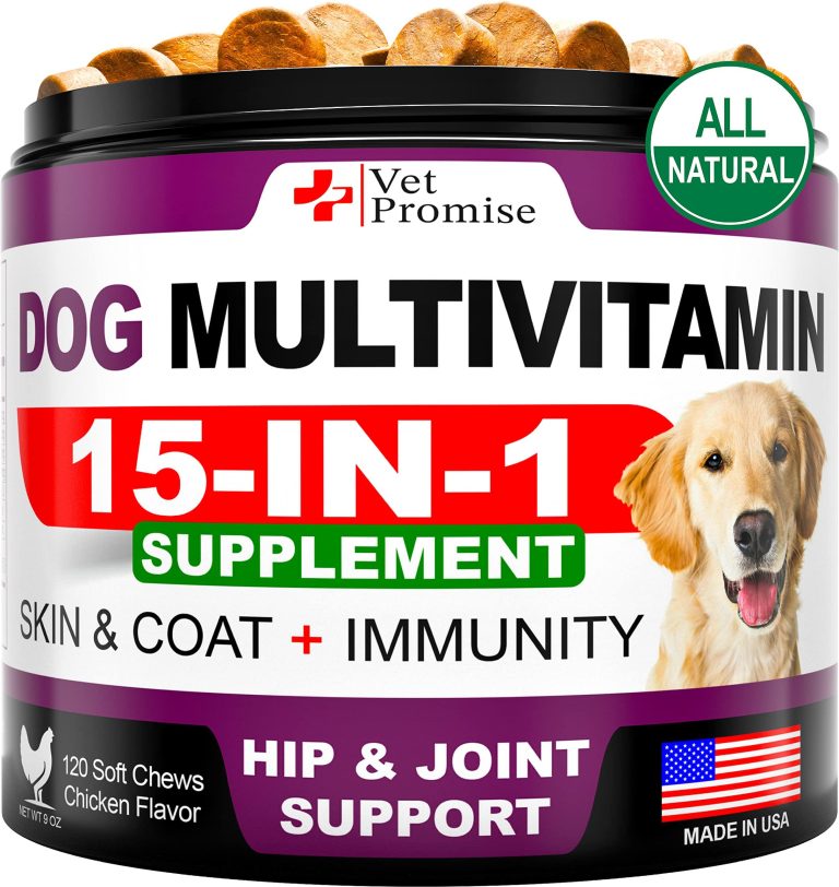 The best supplements for dogs with weak immune systems