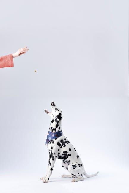 Building a Strong ‍Bond Through Training and Socialization