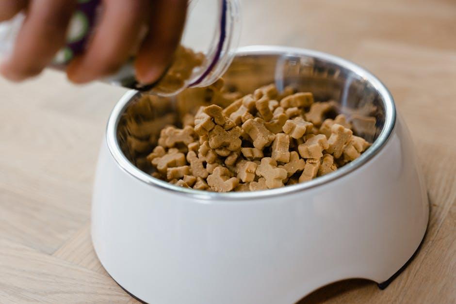 Creating a Tooth-Friendly Diet for Your Furry Friend