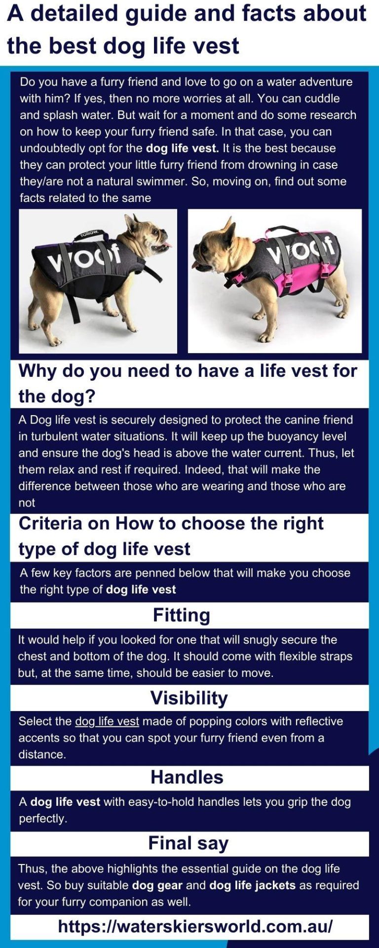 How to Make Your Dog Visible During Night Walks