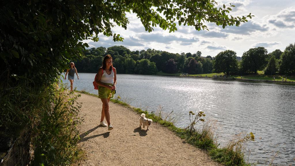 Navigating Terrain and Weather with Your Dog