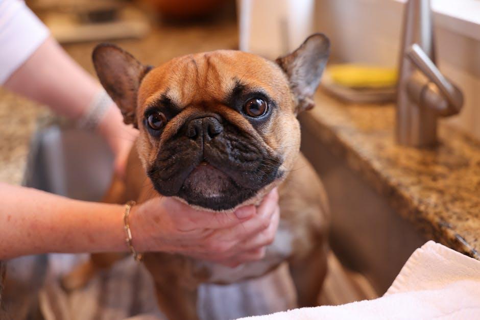 Choosing the Right Cleaning Tools for Your Furry Friend