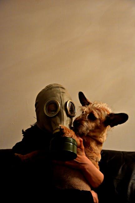 Recognizing and Respecting Your Dogs Boundaries