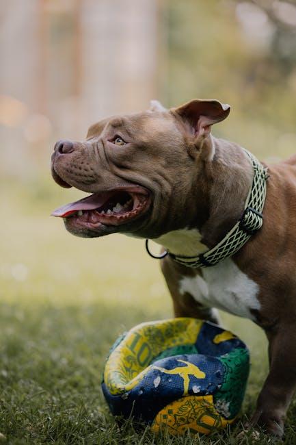 How to Prevent Your Dog from Chewing on Wires