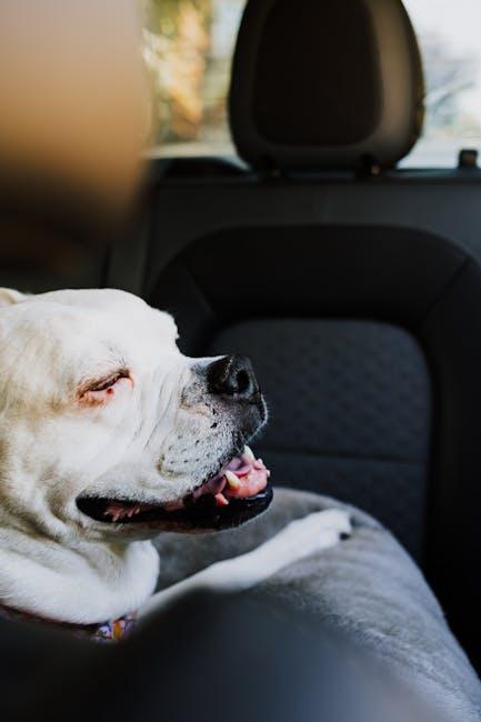 Training Techniques to Foster Trust and Safety