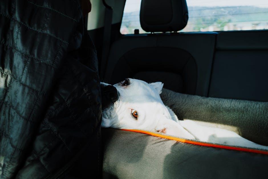 Relaxation Techniques for a Calm and Happy Pup