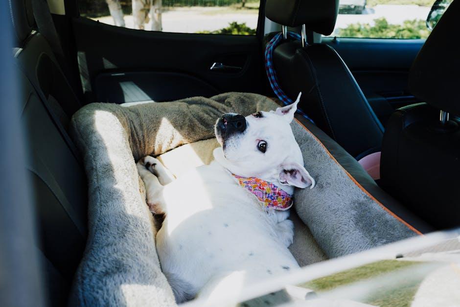 Fruits and Vegetables to Avoid for Dog Safety