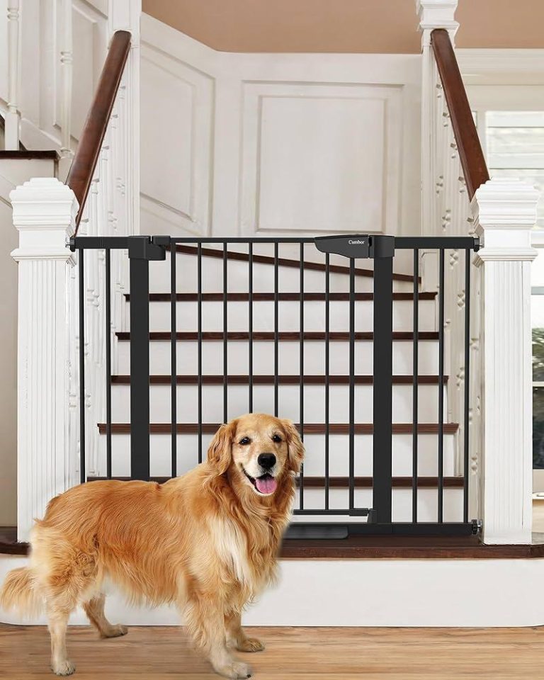 Best Practices for Using Dog Safety Gates