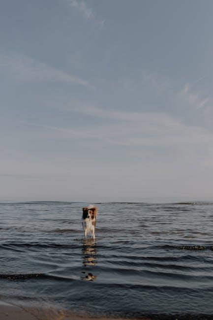 Gentle Techniques for a Stress-Free Bathing Experience