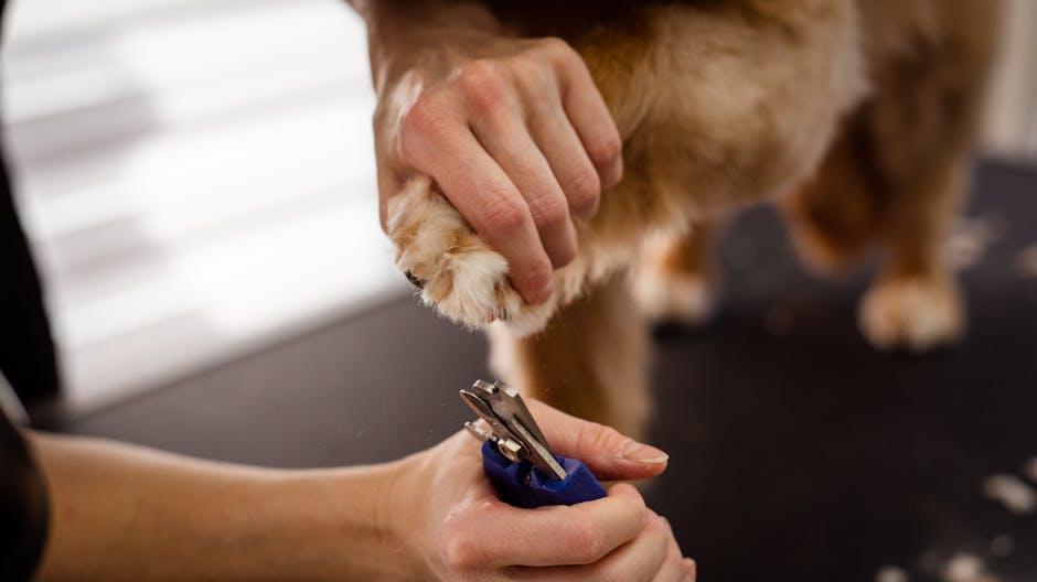 Step-by-Step Guide to Safe and Comfortable Nail Trimming