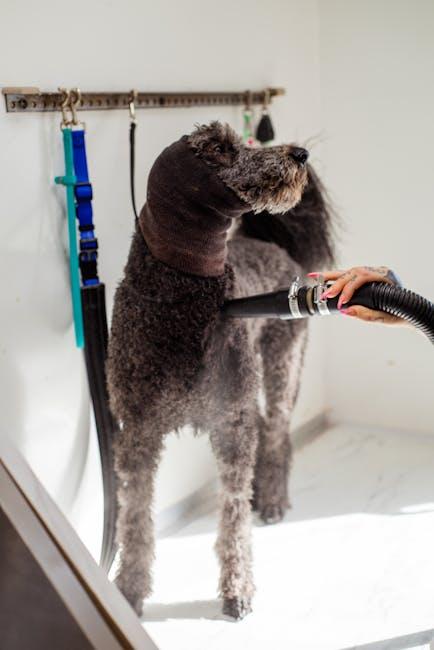 Essential Tools for Grooming Curly Fur
