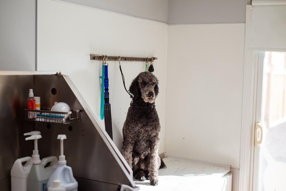 Selecting the Right Grooming Products for Sensitive Canines