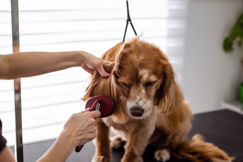 Mastering the Art of Brushing: Techniques for a Happy Pup