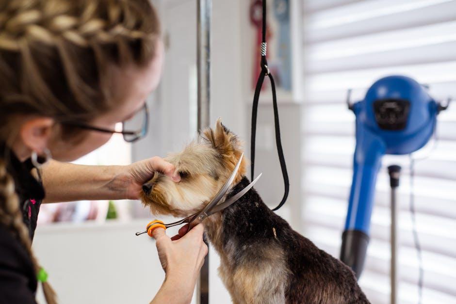 Choosing the Right Grooming Tools for Hot Weather