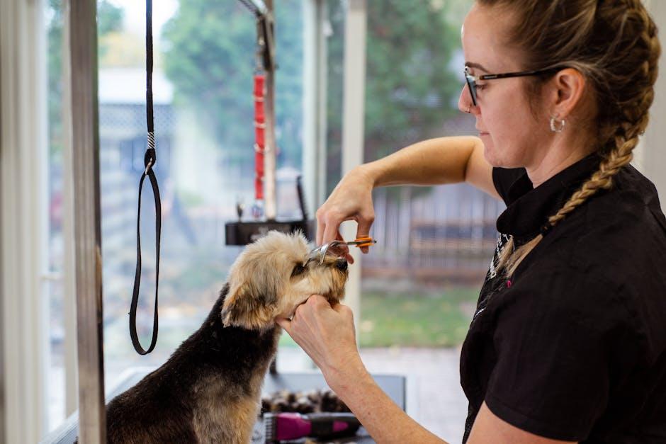 Step-by-Step Guide to Stress-Free Grooming