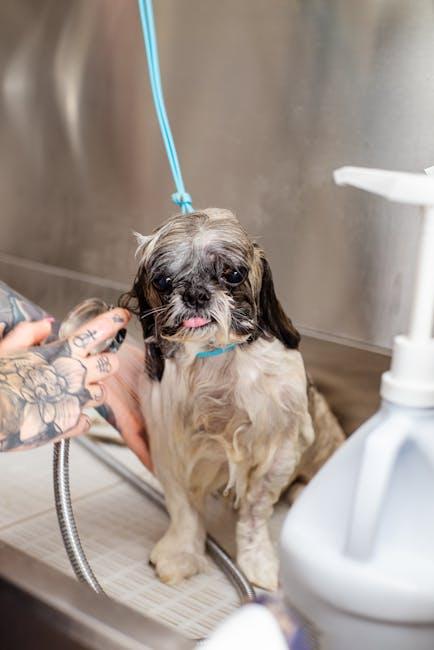 Choosing the Right Shampoo for Thick-Coated Breeds