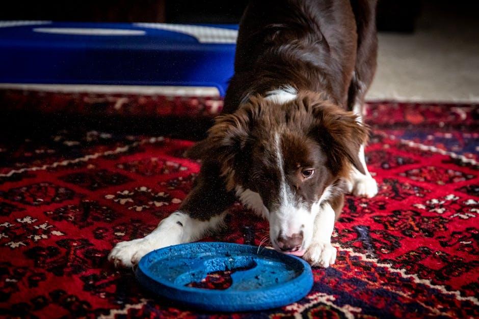 Choosing the Right Interactive Toy for Your Dogs Personality