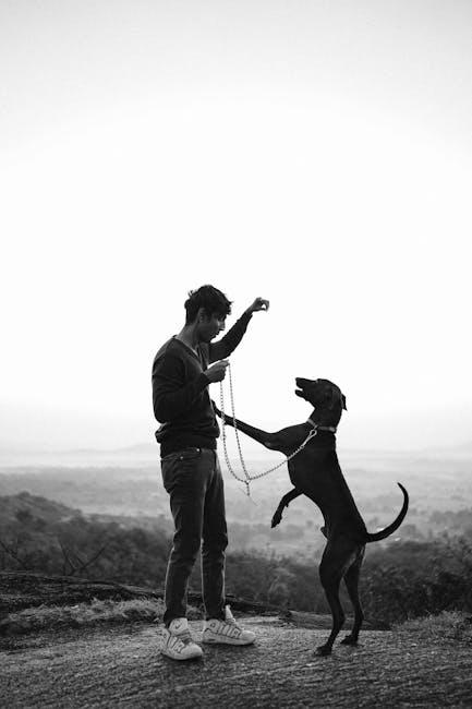 How to Train Your Dog to Walk on a Loose Leash