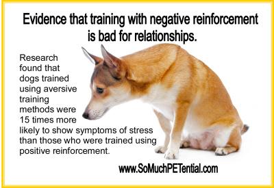 Building a Strong Bond Through Positive Reinforcement