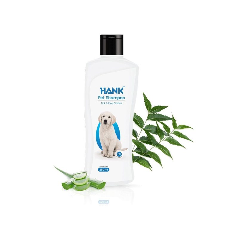 Is Human Shampoo Safe for Dogs