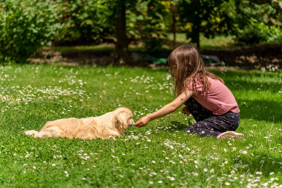 Building a Consistent Natural Dental Routine for Your Dog