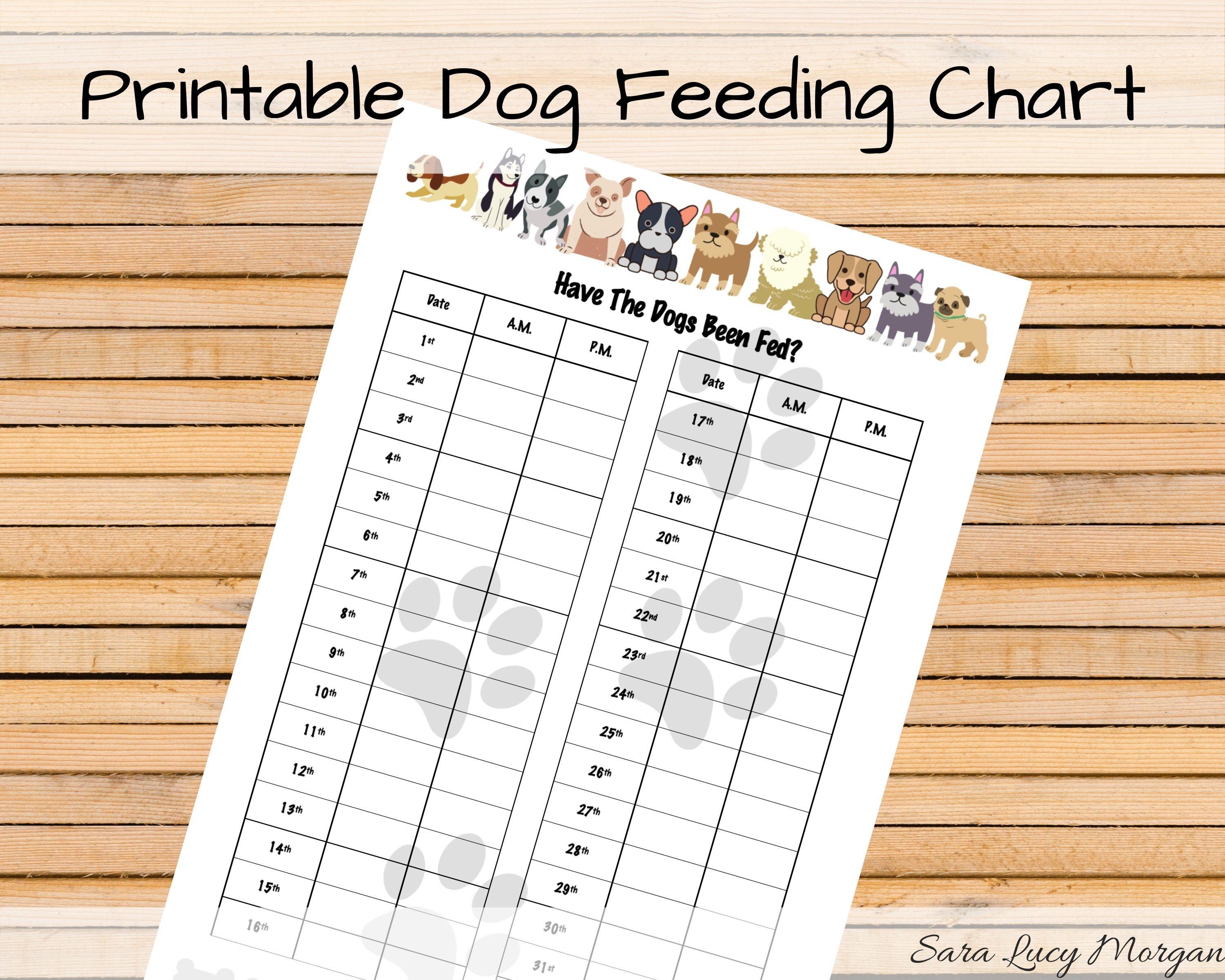 Crafting ‍a Feeding ⁤Schedule⁤ Tailored to Your Dog