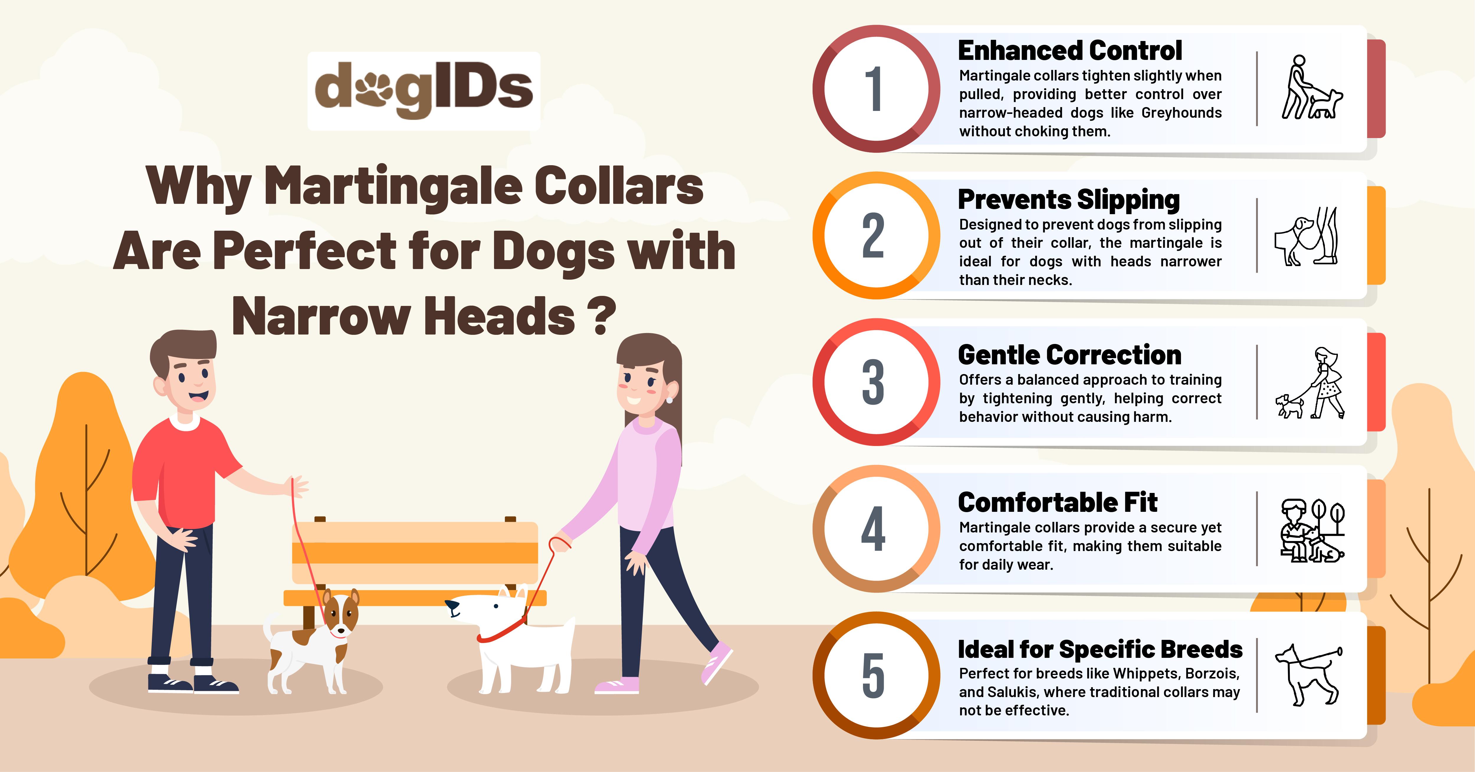 Building a Trusting Relationship with Your Veterinarian
