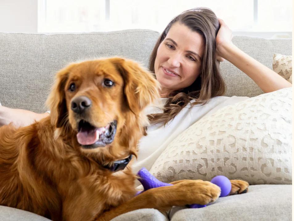 Engaging Your Dog with Interactive Toys for Better Learning
