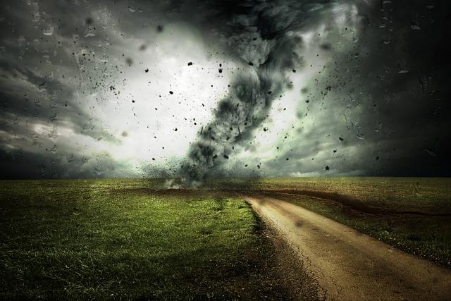 Best Practices for Protecting Your Dog During Storms