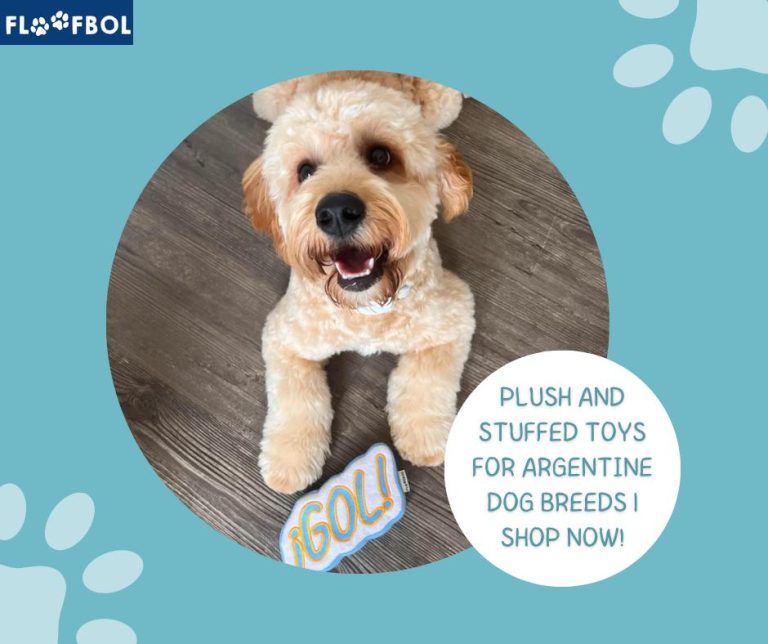 How to Choose Durable Dog Toys