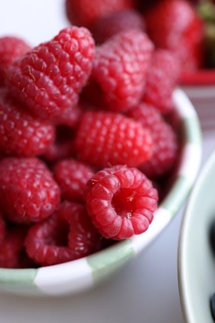 Balancing Nutritional Requirements in⁣ a Vegan Diet for Dogs