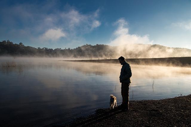 How to Train Your Dog to Be Calm Around Strangers