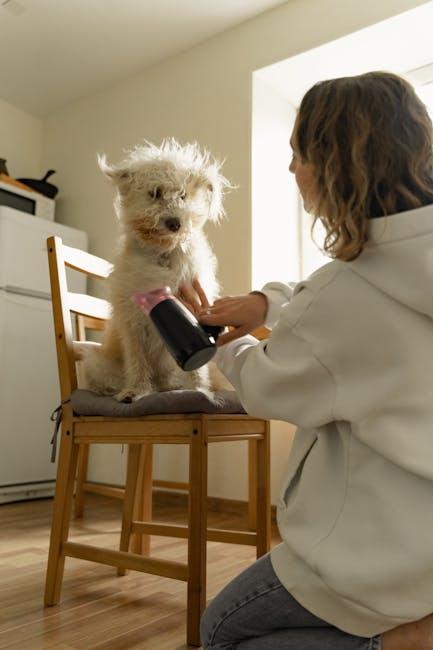 Are DIY Dog Grooming Kits Worth the Money