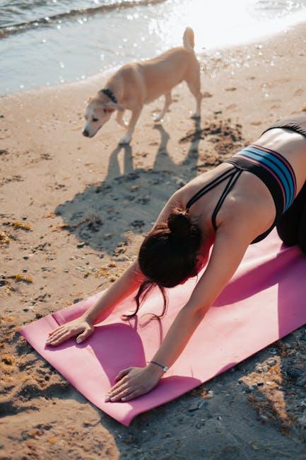Understanding and Responding to Your Dog’s Body Language