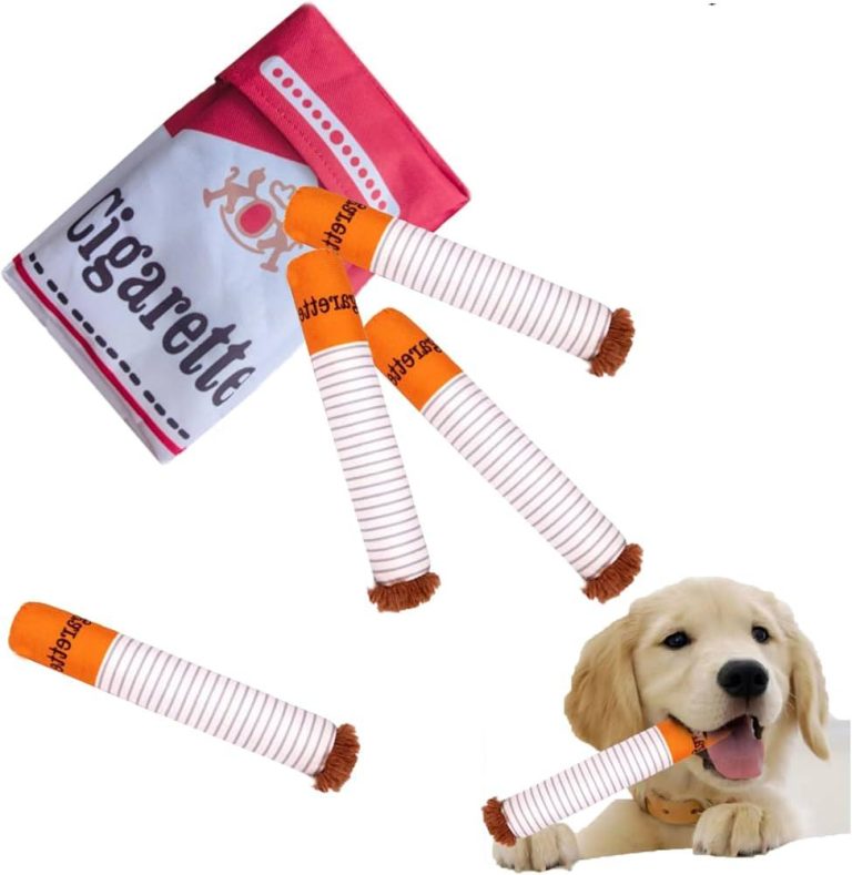 How to Choose Toys Based on Dog Size