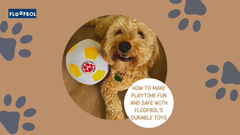 How to Choose Durable Toys for Heavy Chewers