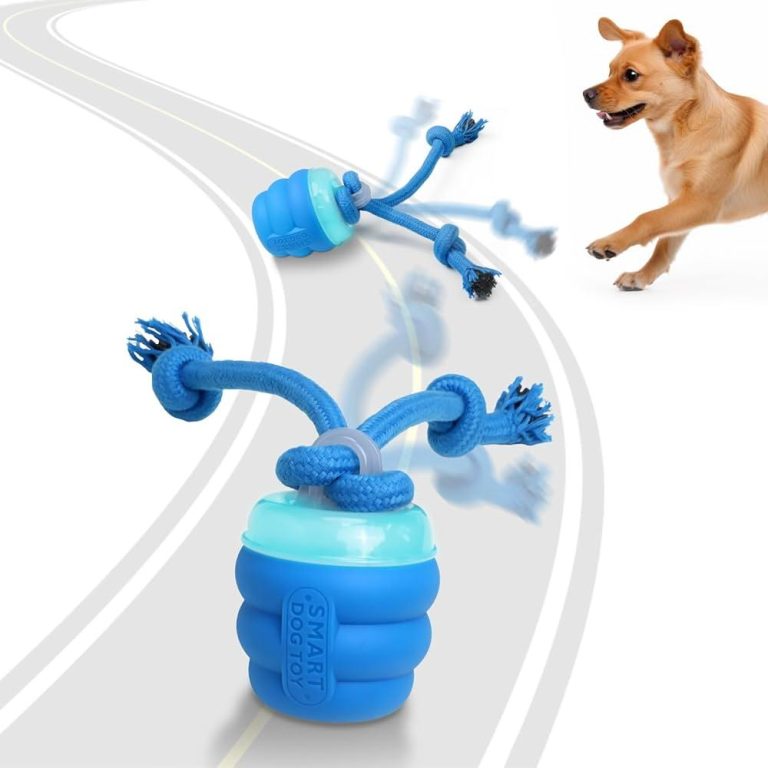 Best interactive toys for high energy dogs