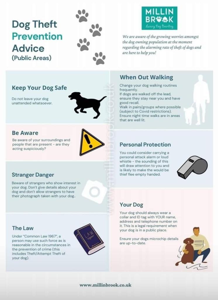 How to Avoid Dog Thefts: Safety Tips