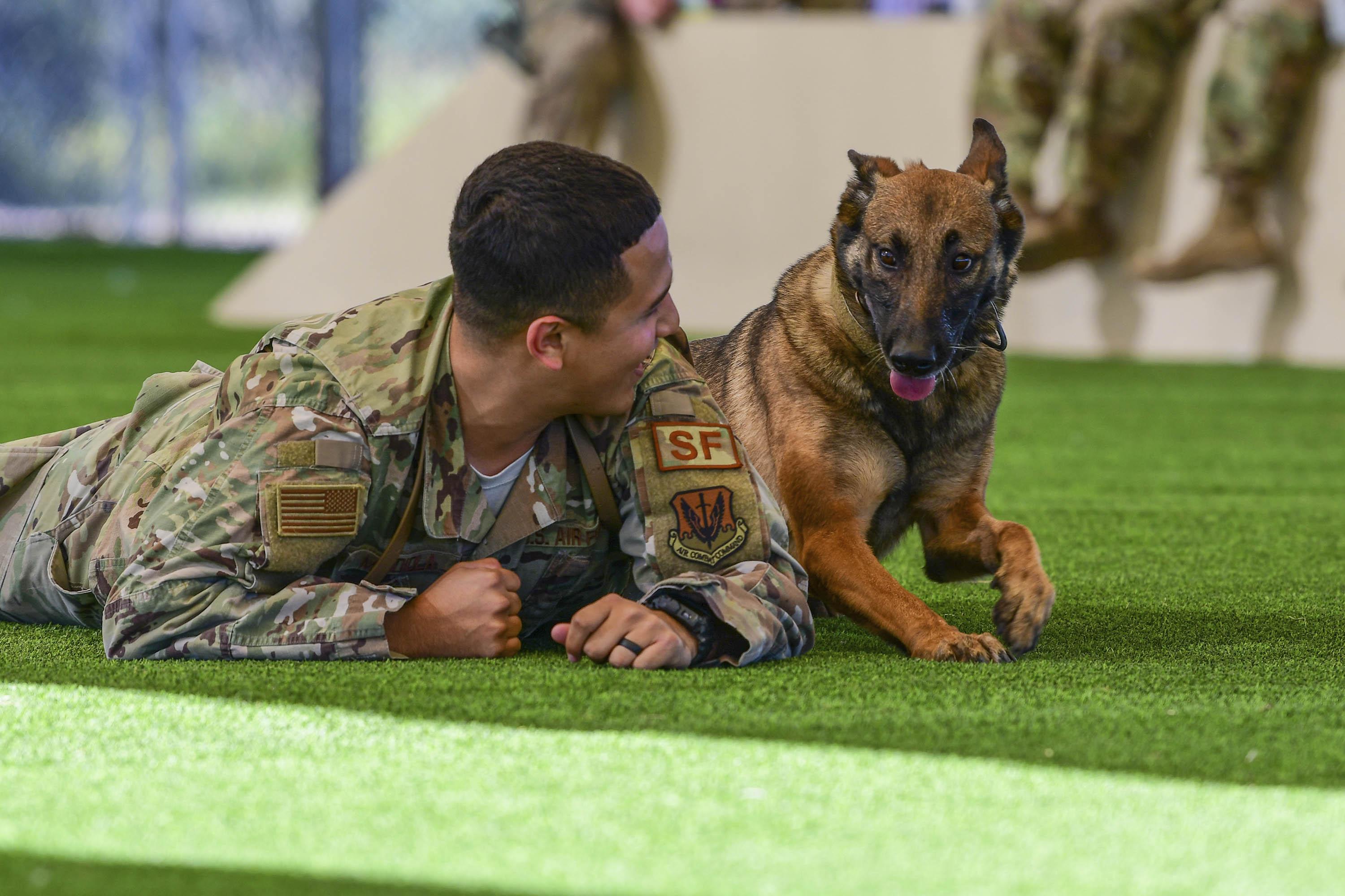 Gentle Exercises to Keep Your Senior Dog Happy and Healthy