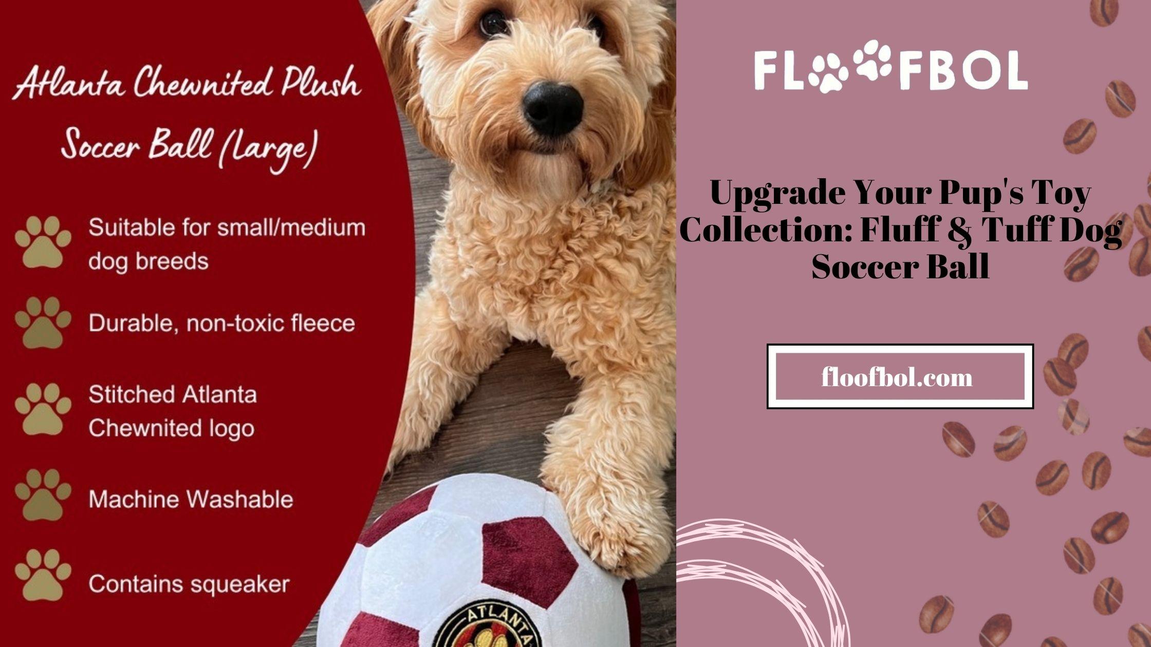 Mental Stimulation and Play: Enhancing Your Dogs Cognitive Skills