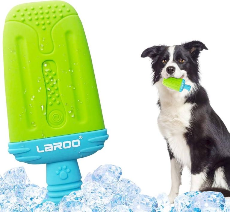 The Best Water Toys for Dogs That Love to Swim