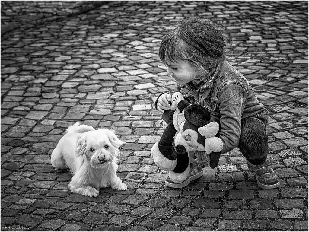 Interactive Toys for Mental Stimulation and Fun