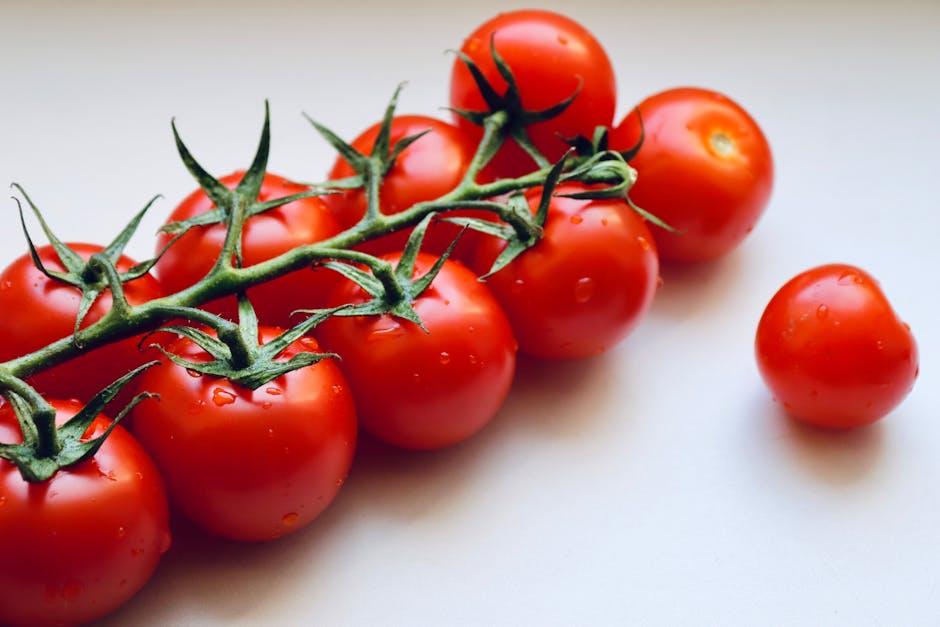 Exploring Vegan ⁣Diet Options for Dogs