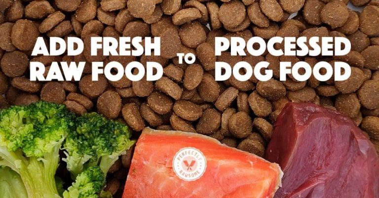 Is Processed Dog Food Hurting Your Pet