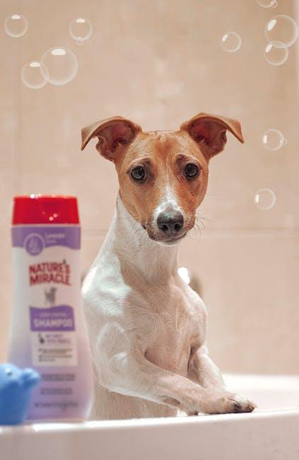 Best Ways to Keep Your Dog Clean After Outdoor Adventures