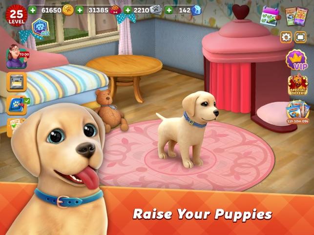 Fun Games to Play with Your Dog at Home