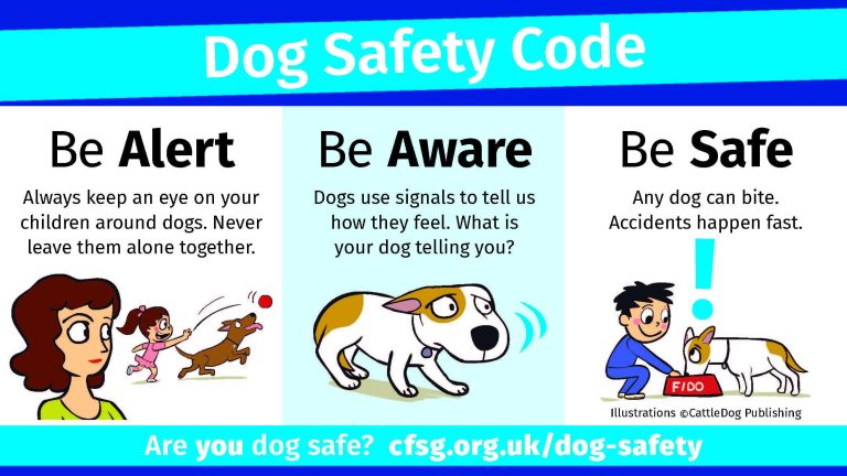 Best Practices for Dog Safety in Crowded Places