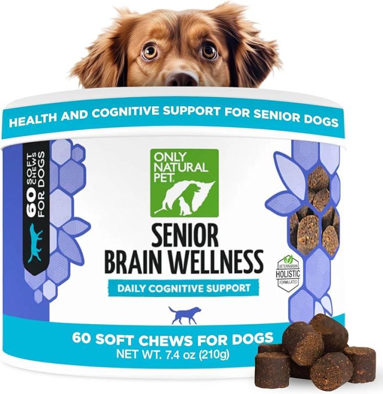 What to Feed Your Dog for Optimal Brain Health