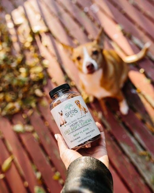 The Best Supplements for Dog Health
